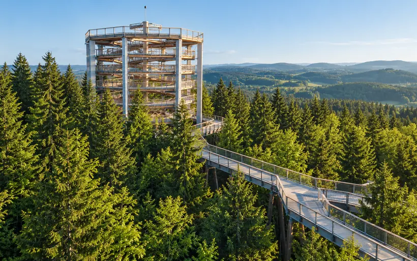 Treetop Walk